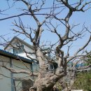 어제 전주 더불어 숲님과 함께한 하루. 이미지