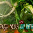 태백닭갈비 - 마포구 포은로 75 | 태백닭갈비
