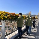 함평읍사무소 이미지