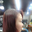 샤론미용실 이미지