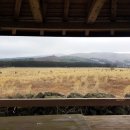 안천농장 이미지