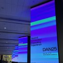 단(DAN) | 단 하루이지만 알찼던 DAN25 후기