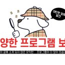 인천공항고등학교 앞 네이버블로그