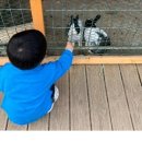 정환목장 이미지