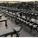 시그널짐 플레티넘 이미지