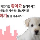 디딤돌당구장 네이버블로그