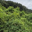 파주믿음부동산공인중개사사무소 이미지