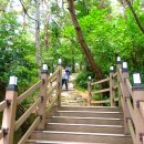 양산팔경 금강둘레길 이미지