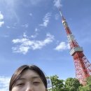 비키펫 살롱 | 겨울이 없는 도쿄 여행 - 2 (feat. 살롱시부야 호텔 후기)