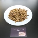 새식품 이미지