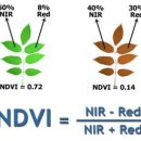 2022.03.21과 2021.05.05의 마리우폴. NDVI 비교. 이미지