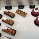 칼리오페 이미지