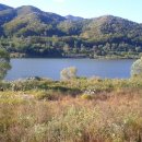 기도원 맞은편 이미지