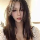 보고또보고