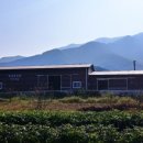장종상농원