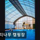 계곡과느티나무 캠핑장 | 영월 숙소 추천 느티나무 캠핑장 영월 캠핑의 매력