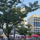 장기동작은도서관 | [김포] 장기동샤브샤브 맛집 옥소반