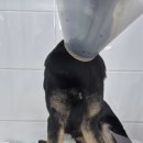 (주)에스메디칼 이미지