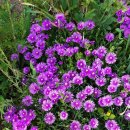 양구인문학박물관 이미지