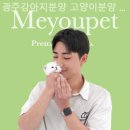 광주강아지분양 고양이분양 미유펫 본점 이미지