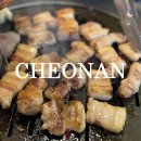 7134 | 천안삼겹살맛집 전라도 광주에서 유명하다는 녹돈집 청당동에서 맛본 솔직후기