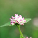 가을노을B 이미지