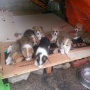 세광상사 이미지