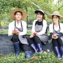 주식회사 팜2팜 이미지