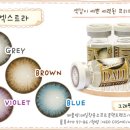 렌즈모아 이미지