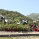 부활펜션 이미지