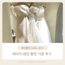 지정 | 메라키 촬영 가봉 웨딩 드레스 투어 지정 후기 꿀팁 에스웨딩 동행