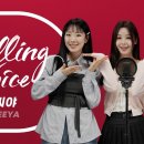 요즘 (제가 듣고) 난리난 딩고뮤직 킬링보이스 이미지