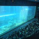 JJ놀이터 | ✈️ 푸꾸옥 가족여행 2일차 — 빈사파리·빈원더스 실전 후기 (아이동반)