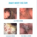 금빛동물수술센터 이미지