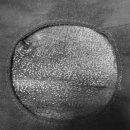 기장i동물의료센터 이미지