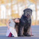 파트라슈 이미지