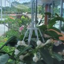 여주-0046 이미지