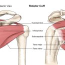 리얼리햅 맞춤운동센터 이미지