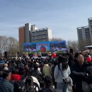 삼례중학교 | 완주 삼례 딸기축제 방문 후기(3.6.~3.8.)