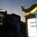 버드나무집식당 - 청도군 | 버드나무집식당