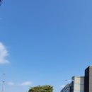 독바위로 이미지