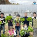 슬기농장 2 이미지