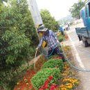 두량6리 이미지