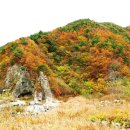 옥계리 팔각산장 앞 이미지