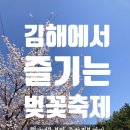진영동산약국 | [경남 김해] 3월 벚꽃 축제(북부동, 율하, 진영읍) 체험내용, 주차정보까지 한 번에 확인하기
