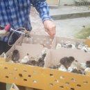 금산청계농장 이미지