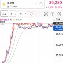 에스와이파트너스
