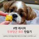 더펫레시피 뉴스1