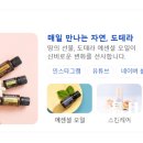 도테라오일클래스&티카페