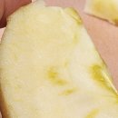 상큼달콤농산